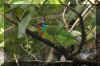 01.jpg (146773 Ӧ줸)