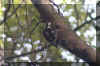 02.jpg (158853 Ӧ줸)