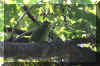 08.jpg (167938 Ӧ줸)