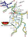 map25.jpg (90262 Ӧ줸)